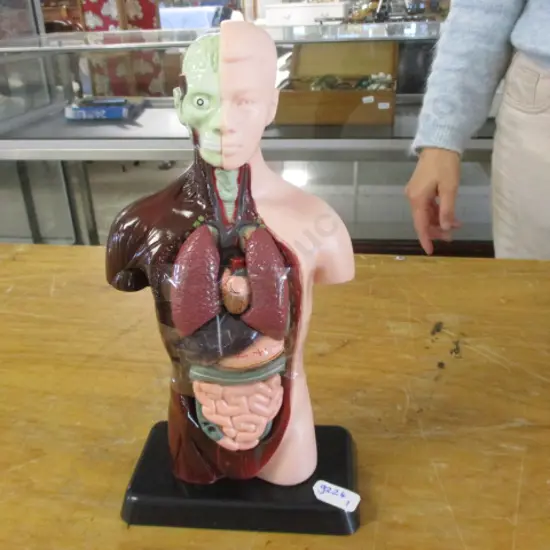 Medical Model